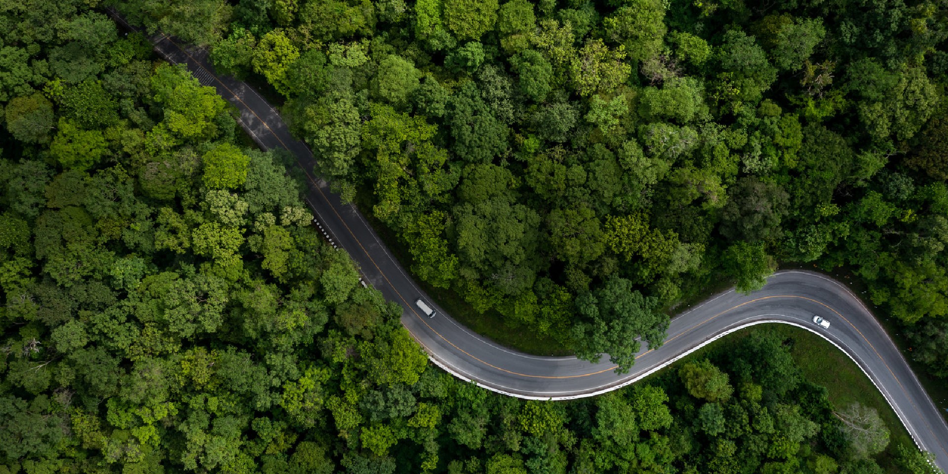 为地球留生机 为未来筑根基